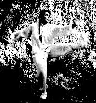 Master Zhen in Taiji Front Kick